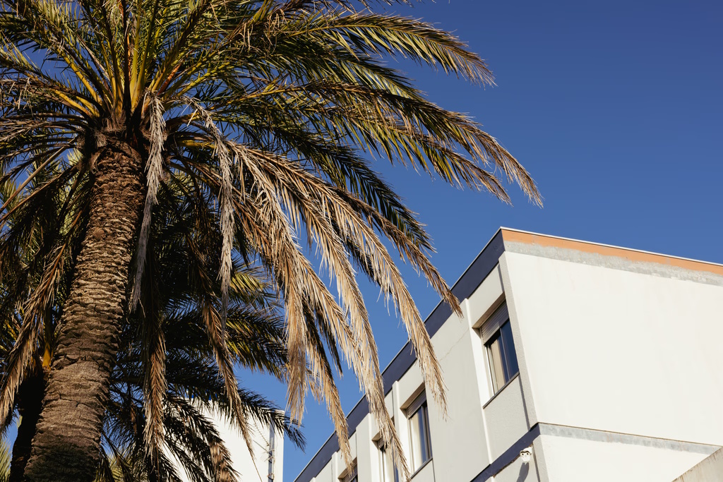 Polyclinique de Furiani Bastia